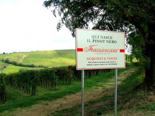 TENUTA FRECCIAROSSA A CASTEGGIO
