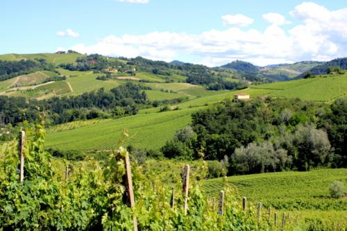 TENUTA CONTE VISTARINO A ROCCA de' GIORGI