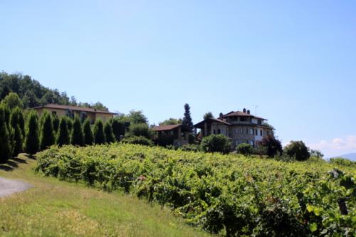 AZIENDA CA' DEL GE' A MONTALTO PAVESE
