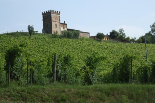 CLAUDIO BISI A SAN DAMIANO AL COLLE