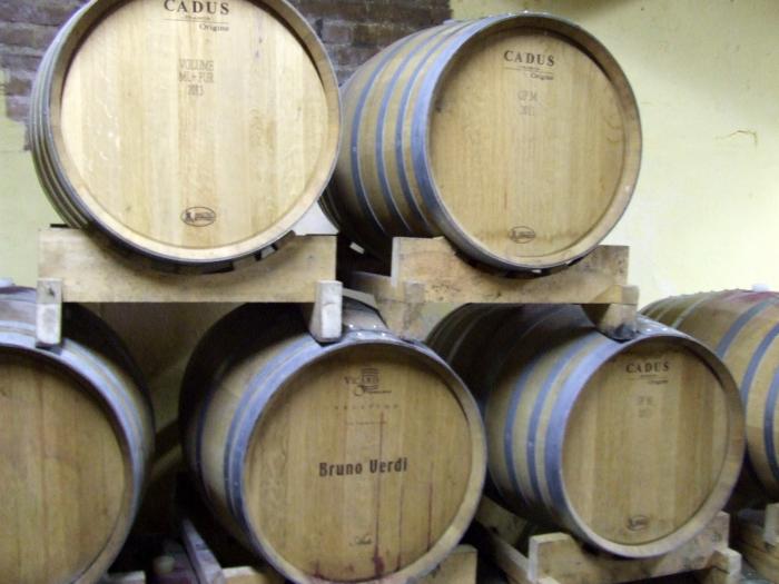 AZIENDA BRUNO VERDI A CANNETO PAVESE