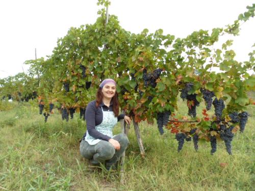 AZIENDA IL POGGIO MONTEMARTINI LUIGI