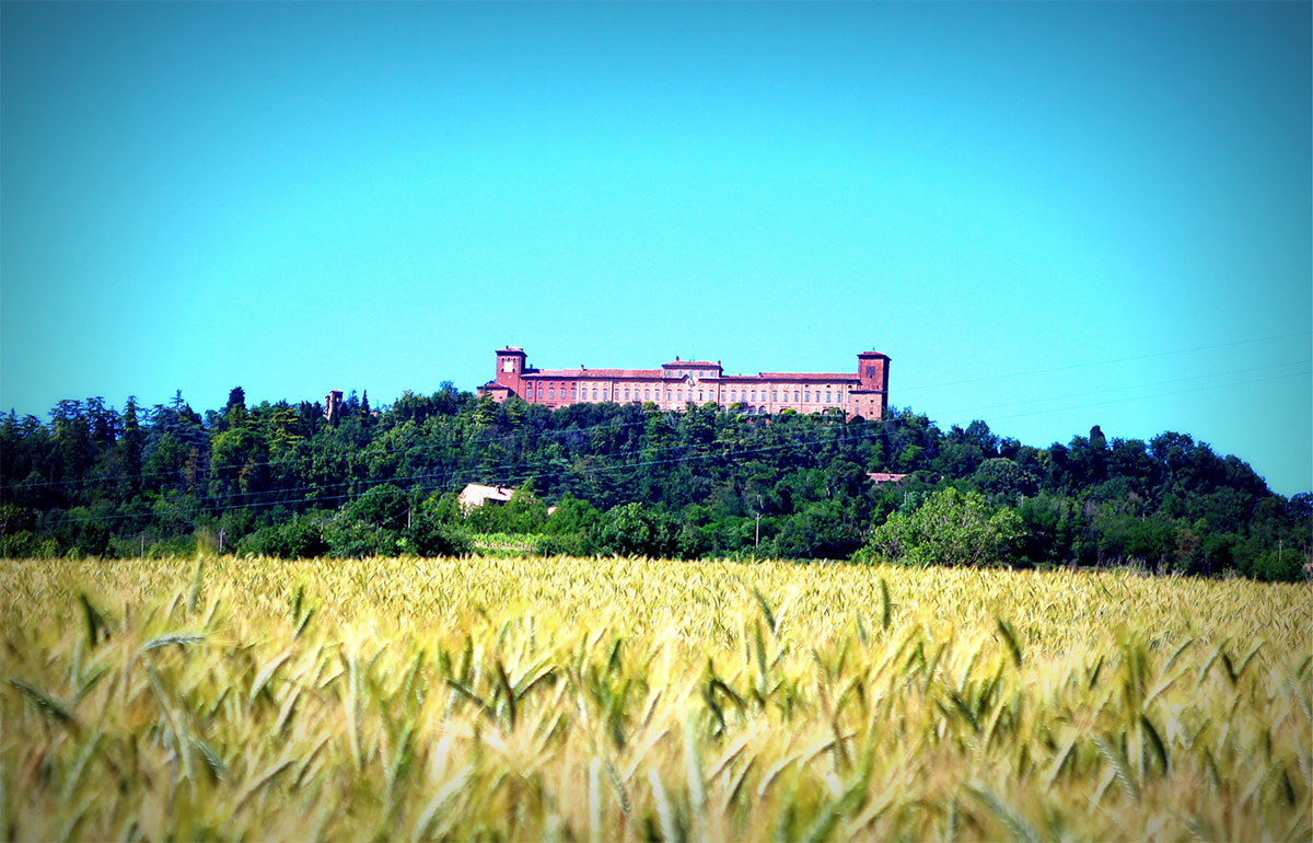 Il Castello di Montalto