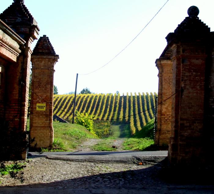 Storica azienda dell'Oltrepò racconta il suo presente......