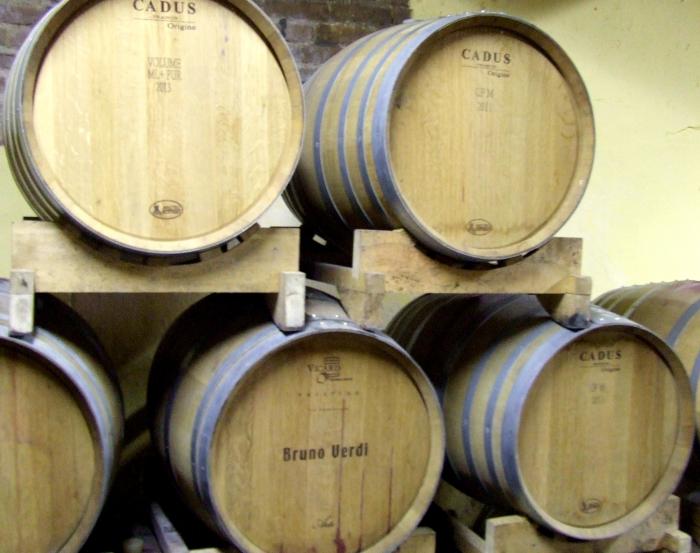 A tu per tu con Paolo Verdi, vignaiolo in Canneto Pavese