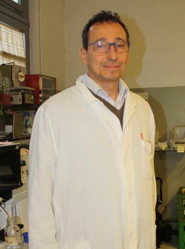 GIUSEPPE ZATTI